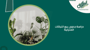 دراسة جدوى بيع النباتات المنزلية