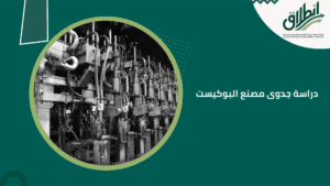 دراسة جدوى مصنع البوكيست