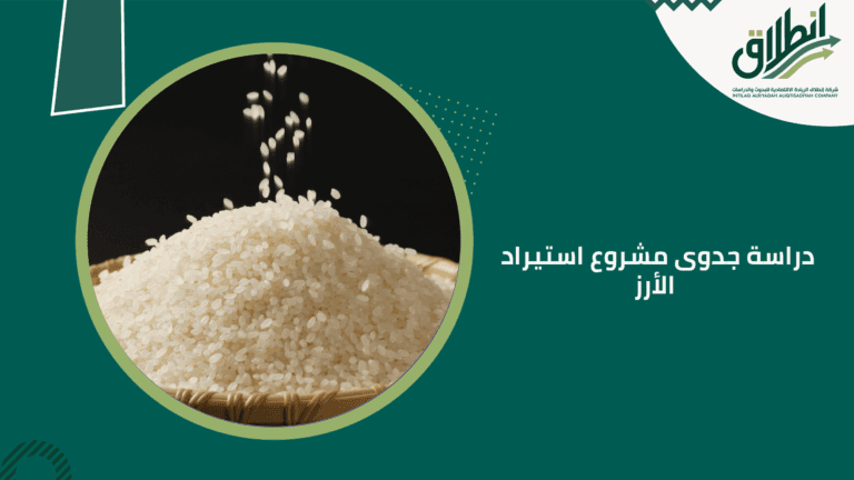 دراسة جدوى مشروع استيراد الأرز