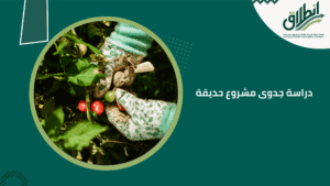 دراسة جدوى مشروع حديقة