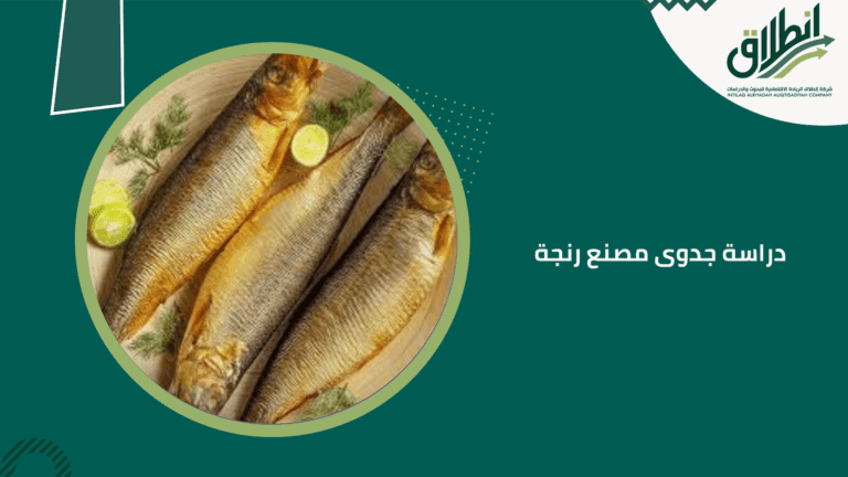 دراسة جدوى مصنع رنجة