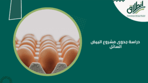 دراسة جدوى مشروع البيض السائل