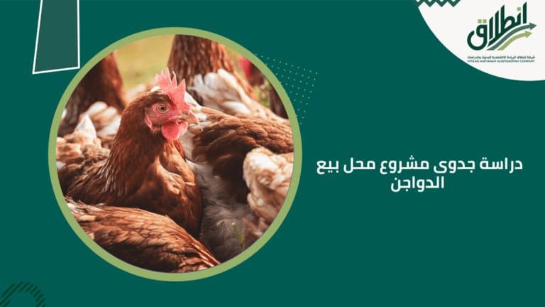 دراسة جدوى مشروع محل بيع الدواجن