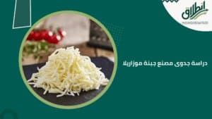 دراسة جدوى مصنع جبنة موزاريلا