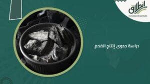 دراسة جدوى إنتاج الفحم