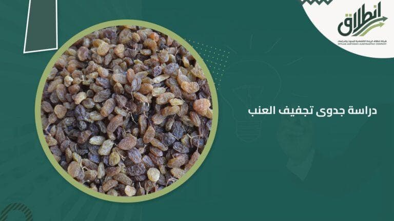 دراسة جدوى تجفيف العنب