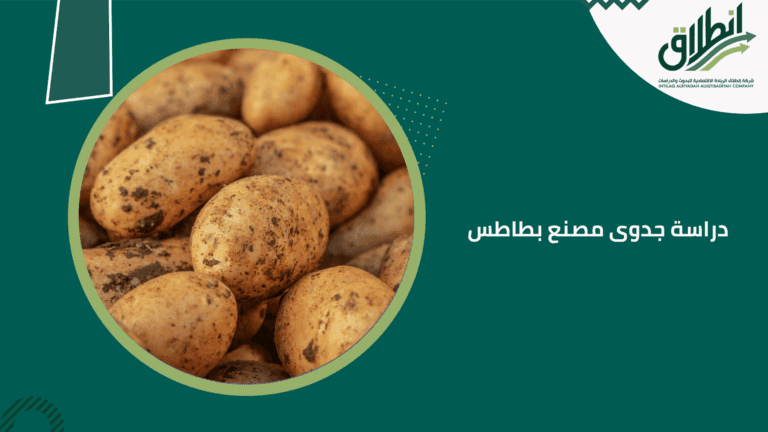 دراسة جدوى مصنع بطاطس