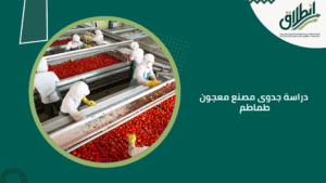 دراسة جدوى مصنع معجون طماطم