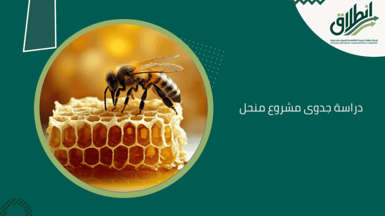 دراسة جدوى مشروع منحل