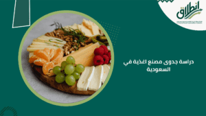 دراسة جدوى مصنع اغذية في السعودية