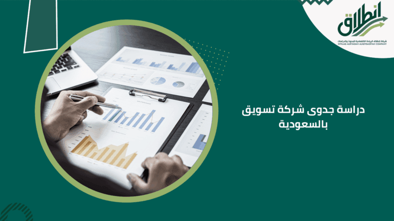 دراسة جدوى شركة تسويق بالسعودية