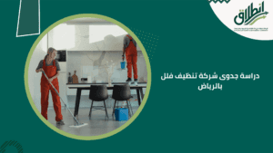 دراسة جدوى شركة تنظيف فلل بالرياض