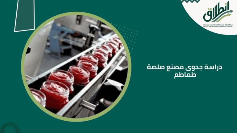 دراسة جدوى مصنع صلصة طماطم