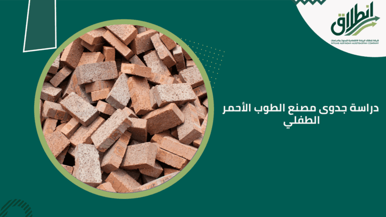 دراسة جدوى مصنع الطوب الأحمر الطفلي