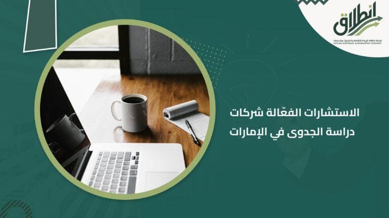 الاستشارات الفعّالة شركات دراسة الجدوى في الإمارات