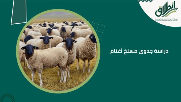 دراسة جدوى مسلخ أغنام