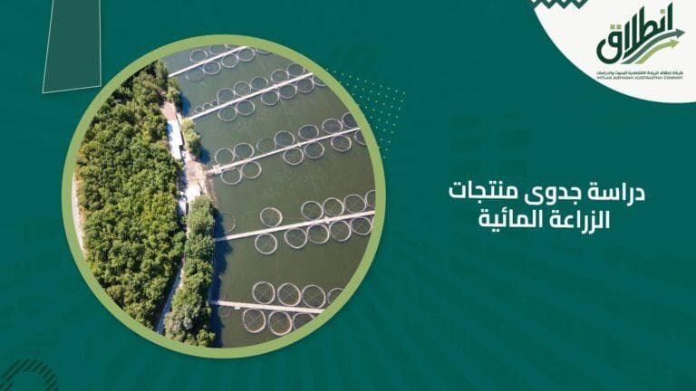 دراسة جدوى منتجات الزراعة المائية