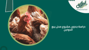 دراسة جدوى مشروع محل بيع الدواجن