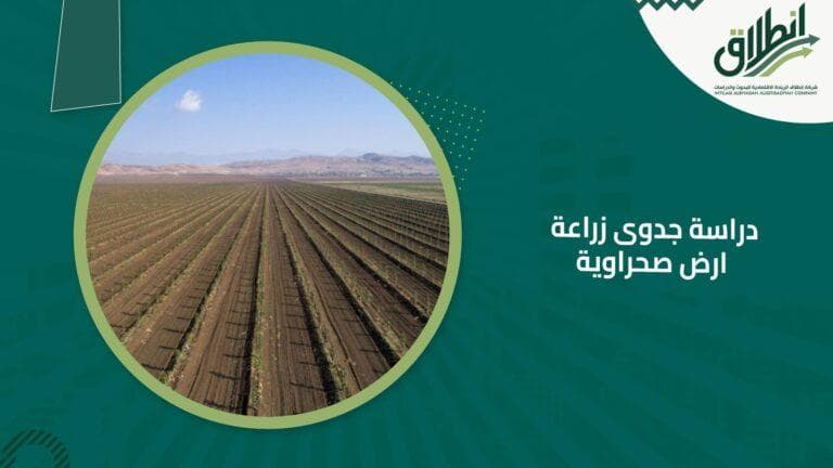 دراسة جدوى زراعة ارض صحراوية