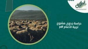 دراسة جدوى مشروع تربية الأغنام pdf