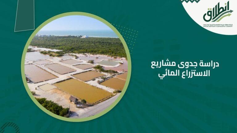 دراسة جدوى مشاريع الاستزراع المائي