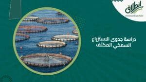 دراسة جدوى الاستزراع السمكي المكثف