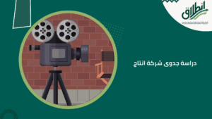 دراسة جدوى شركة انتاج