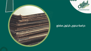 دراسة جدوى كرتون مضلع