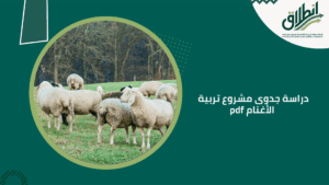 دراسة جدوى مشروع تربية الأغنام pdf
