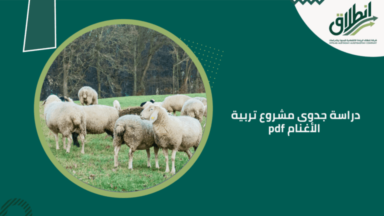 دراسة جدوى مشروع تربية الأغنام pdf