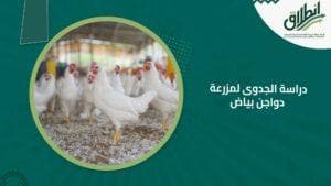 دراسة الجدوى لمزرعة دواجن بياض