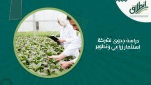 دراسة جدوى لشركة استثمار زراعي وتطوير