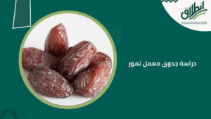 دراسة جدوى معمل تمور