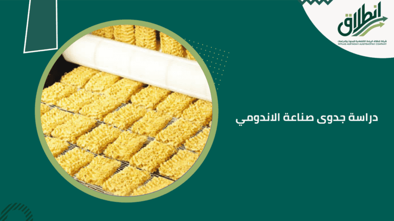 دراسة جدوى صناعة الاندومي