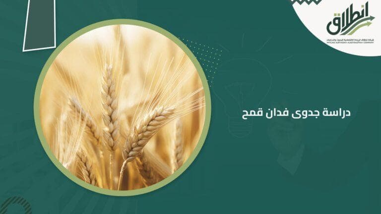 دراسة جدوى فدان قمح