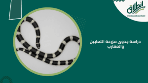 دراسة جدوى مزرعة التعابين والعقارب