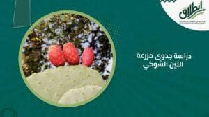 دراسة جدوى مزرعة التين الشوكي