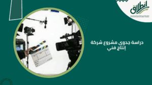 دراسة جدوى مشروع شركة إنتاج فني