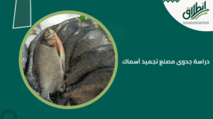 دراسة جدوى مصنع تجميد أسماك