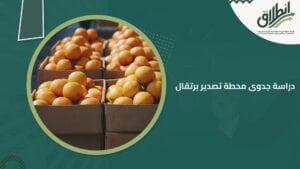 دراسة جدوى محطة تصدير برتقال