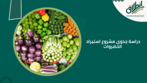 دراسة جدوى مشروع استيراد الخضروات