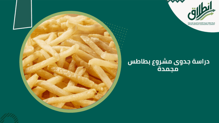 دراسة جدوى مشروع بطاطس مجمدة