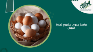 دراسة جدوى مشروع تجارة البيض