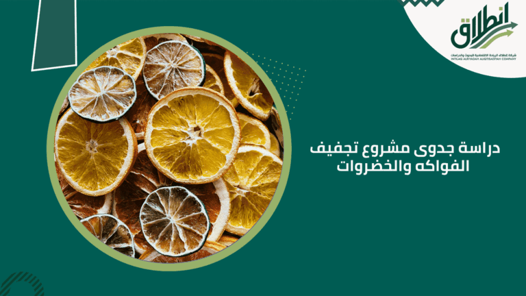 دراسة جدوى مشروع تجفيف الفواكه والخضروات