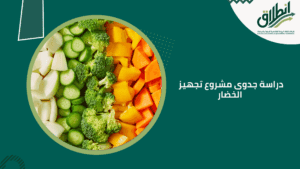 دراسة جدوى مشروع تجهيز الخضار