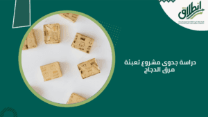 دراسة جدوى مشروع تعبئة مرق الدجاج