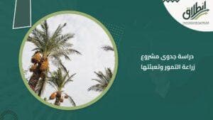 دراسة جدوى مشروع زراعة التمور وتعبئتها