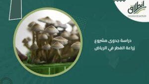 دراسة جدوى مشروع زراعة الفطر في الرياض