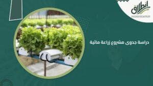 دراسة جدوى مشروع زراعة مائية