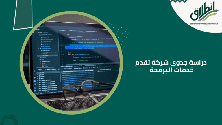 دراسة جدوى شركة تقدم خدمات البرمجة